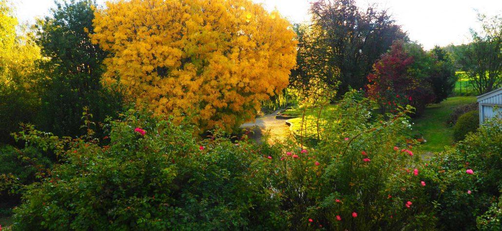 Mole Creek Guesthouse Exterior foto